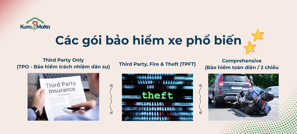third party only (tpo bảo hiểm trách nhiệm dân sự)